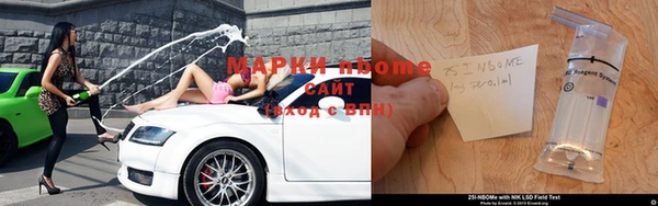 стаф Богданович