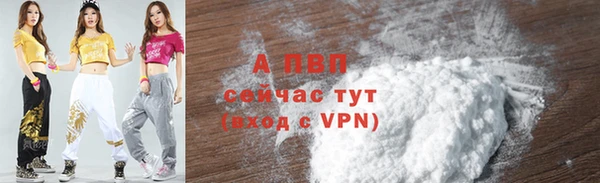 apvp Белокуриха