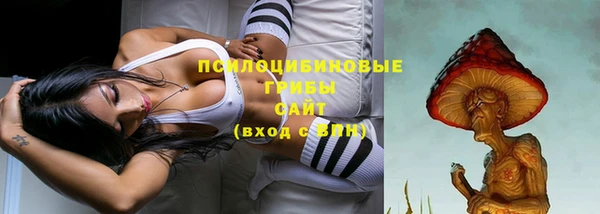 apvp Белокуриха